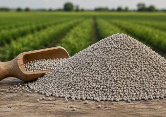 DI-AMMONIUM PHOSPHATE (DAP 18-46-0)