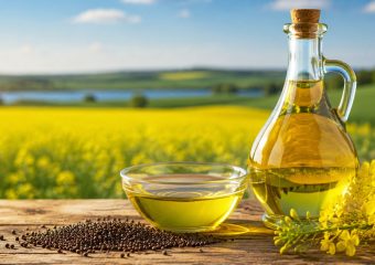 REFINED CANOLA OIL