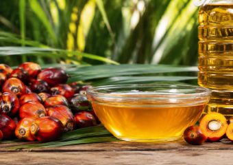 REFINED PALM OIL